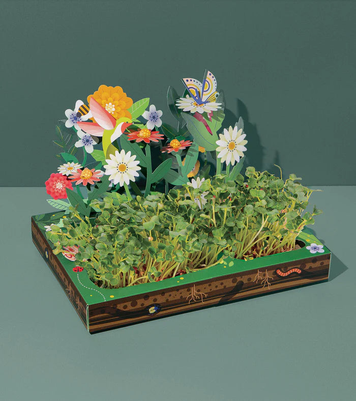 Microgreens | Pollinator