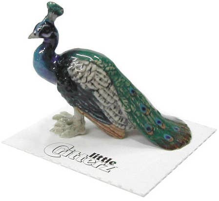 Shimmer Peacock Porcelain Miniature