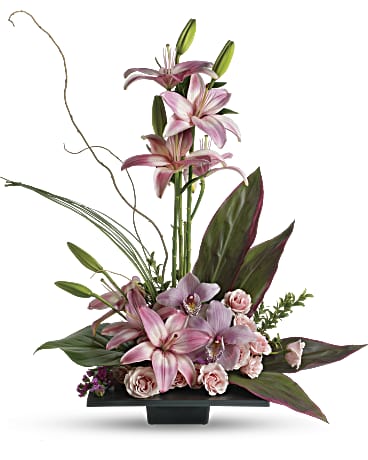 Imagination Blooms with Cymbidium Orchids