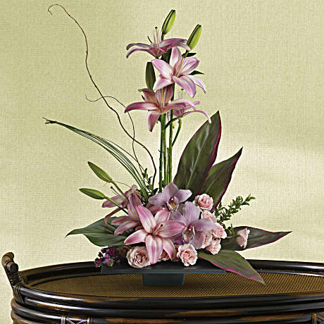 Imagination Blooms with Cymbidium Orchids