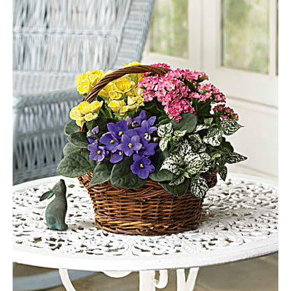 Spring Has Sprung Mixed Basket