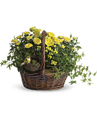 Yellow Trio Basket